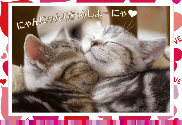 ハッピーカップル大作戦